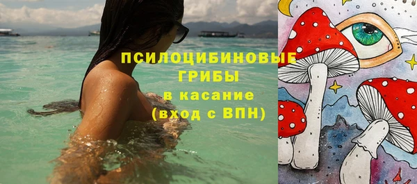 ПСИЛОЦИБИНОВЫЕ ГРИБЫ Алексин