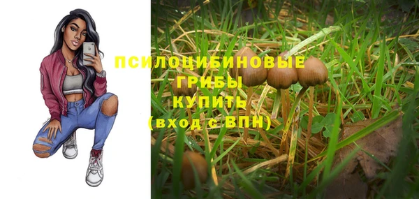 ПСИЛОЦИБИНОВЫЕ ГРИБЫ Алексин
